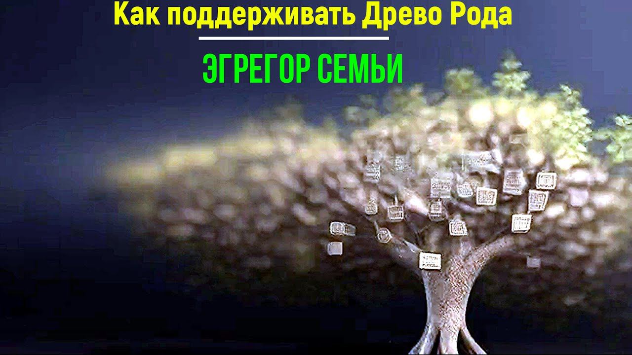 ⚡Полная запись - Как поддерживать Древо Рода и Эгрегор Семьи - онлайн конференция смотреть онлайн