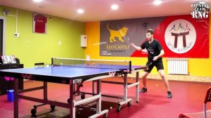 Обзор накладки для настольного тенниса DHS Gold Arc 8 | Сравнение с Tibhar Evolution MX-P