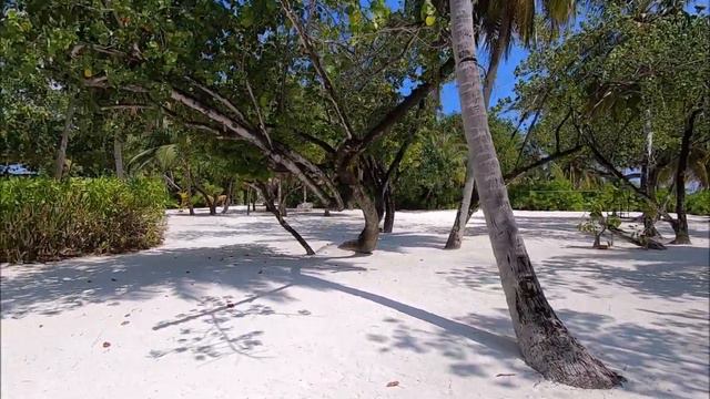 COMO Cocoa Island смотреть онлайн