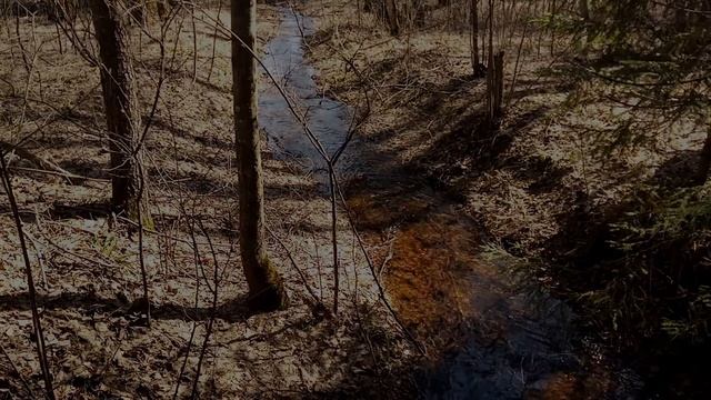 Вешние воды [Апрель 2021] смотреть онлайн