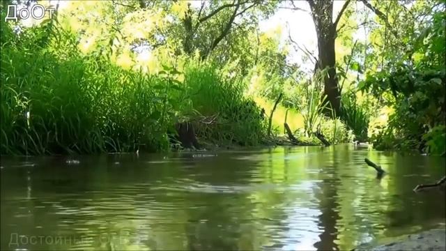 Энергетическая практика БЛАГОДАРНОСТЬ! смотреть онлайн