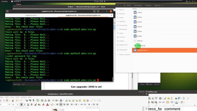 Python : CSV to DOCX | Dynamically make DOCX files from each row of CSV using template with "if" смотреть онлайн