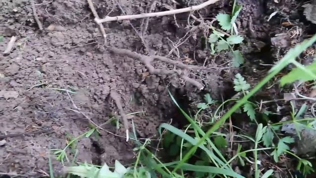 Коп в деревне с Ака сорекс про. смотреть онлайн