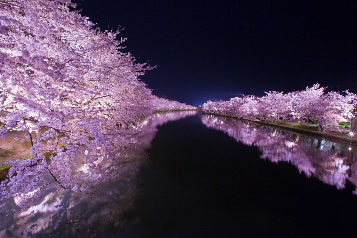 ? Успокаивающая музыка для души и сердца. Сакура | Soothing music for the soul and heart. ? смотреть онлайн