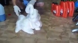 Что будет если смешать тосол с антифризом