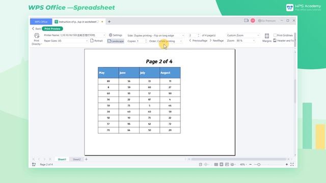 [WPS Academy] 1.8.0 Excel:Instruction of page setup in worksheet смотреть онлайн