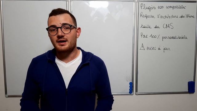 utiliser WORDPRESS VS DÉVELOPPER son site depuis ZERO смотреть онлайн
