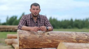 Сруб русского дома из бревна 12х12