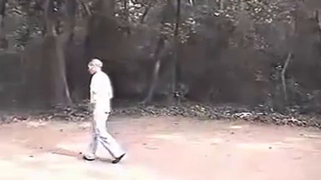 Старое видео: Ван Ци лаоши (王祺老师) обучает синъи цюань (形意拳).