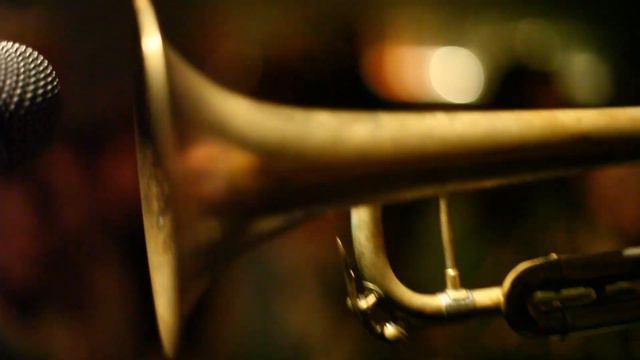 LAYERZ pitchering Avishai Cohen - פסטיבל רוח דרומית 2# בהודנא смотреть онлайн