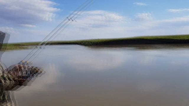 Ловля КАРАСЯ на донку. Жарим карася прямо на рыбалке! смотреть онлайн