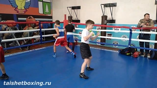 Тренировка по боксу (работа над техникой) смотреть онлайн