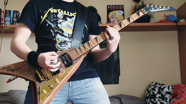 Metallica - Wherever I May Roam (Guitar Cover) смотреть онлайн