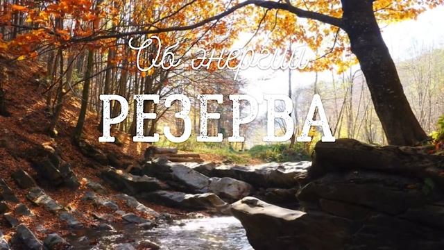 Энергия Резерва. Фрагмент открытой встречи смотреть онлайн