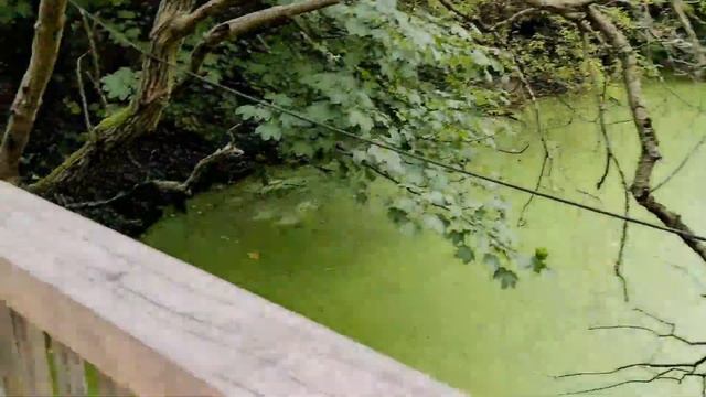 Оберхаузен/ прогулка по парку смотреть онлайн