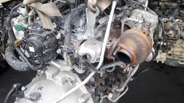 Двигатель D20DTR 671960 Актион Спорт, Рекстон смотреть онлайн