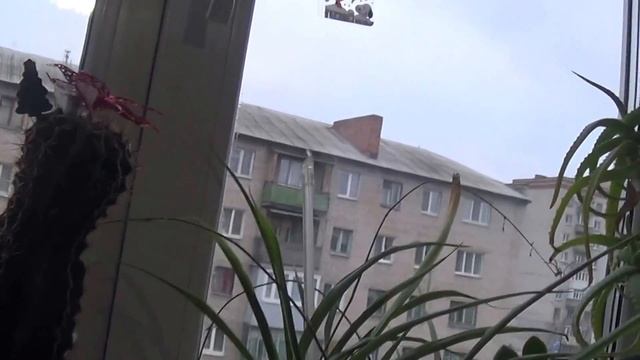 СНЕГ В АЭРОЗОЛЕ ДЕЛАЕМ РИСУНКИ НА СТЕКЛЕ С ТРАФАРЕТАМИ смотреть онлайн