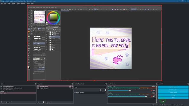 How To Make A TIMELAPSE Using OBS Or Clip Studio Paint's Timelapse Feature