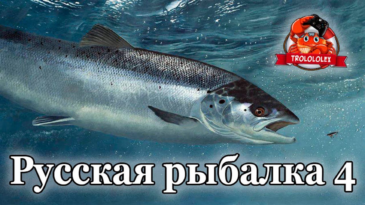 Результаты рыбалки в Ладожском архипелаге: Атлантический лосось! смотреть онлайн