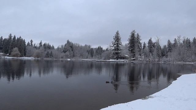ПОГОДА, ФОТОСЕССИЯ, АНГЛИЙСКИЙ В ШТАТЕ ВАШИНГТОН. смотреть онлайн