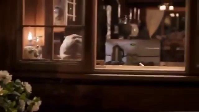 FILME O CARPINTEIRO COMPLETO E DUBLADO - EM SEUS PASSOS O QUE FARIA JESUS? смотреть онлайн