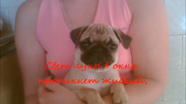 мой маленький щенок смотреть онлайн
