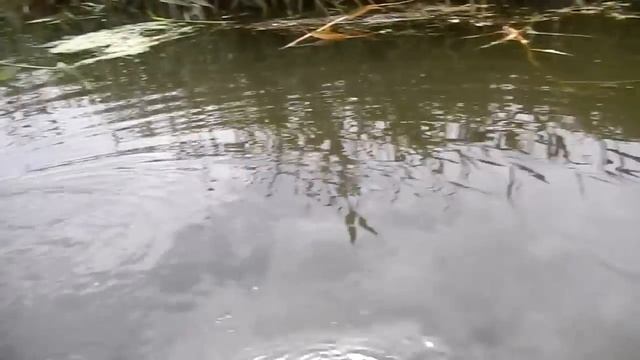 Лодочный эл мотор своими руками смотреть онлайн