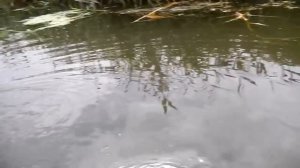 Лодочный эл мотор своими руками