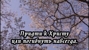 Ксения Лапицкая - Как можешь ты молчать