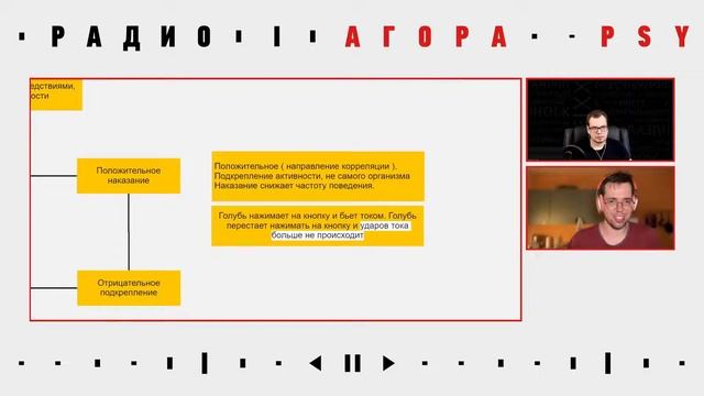 Разбор книги Уильяма Баума "Современный бихевиоризм". Иван Чистяков и Илья Бабанский смотреть онлайн