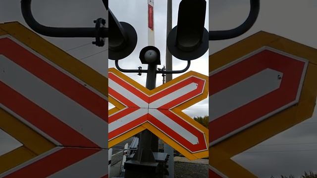 Жд переезд в сургуте смотреть онлайн