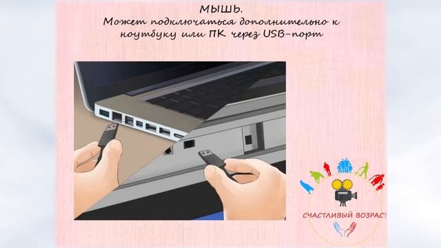 Урок 1 Компьютерная грамотность с нуля