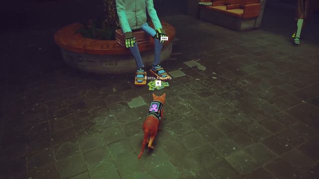 Stray | Котовасия #2 (1440p). смотреть онлайн