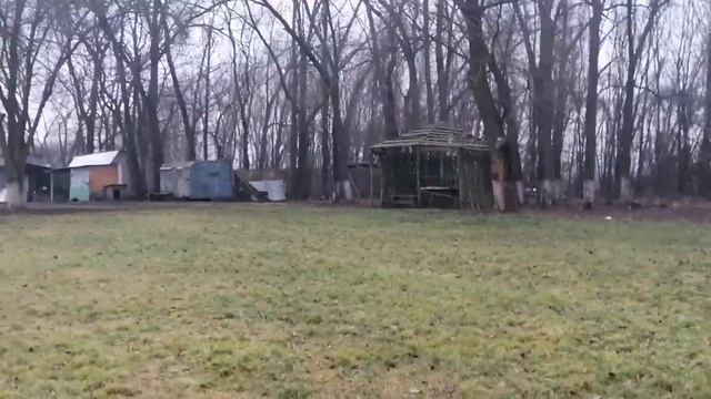 Ловись, рыбка!