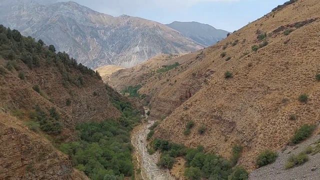 Пальтау. Узбекистан смотреть онлайн