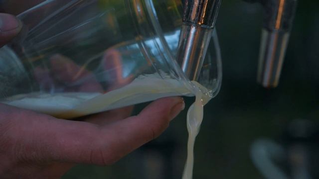 Городской пикник VULITSA EZHA '19 | Август (Минск, Ботанический Сад) смотреть онлайн