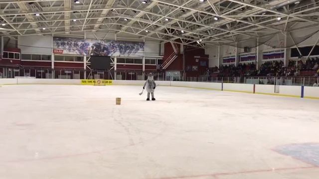 Настоящий карельский лось Hirvi Toivo пришел поддержать хоккеистов