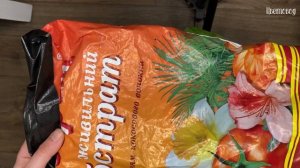 Пересадка калатеи (Орбифолия). Calathea Orbifolia.