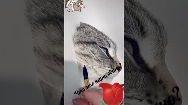 Прелесть эти Котики ??? смотреть онлайн