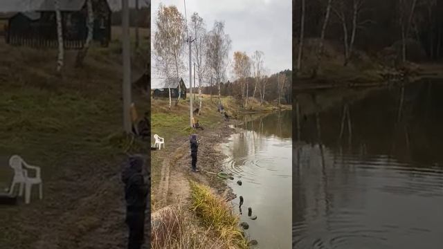 26 октября 2020 г. смотреть онлайн