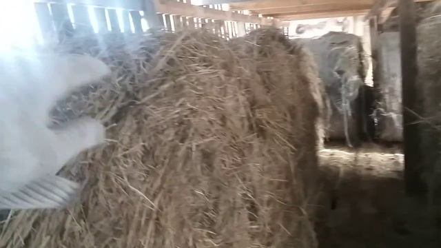 Как построит Сеновал смотреть онлайн