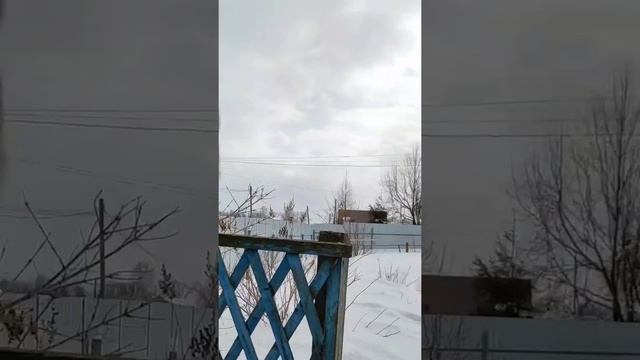 Умная деревенская кошка Пушинка / smart cat смотреть онлайн