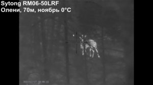 Изображение в тепловизионном прицеле Sytong RM06-50LRF