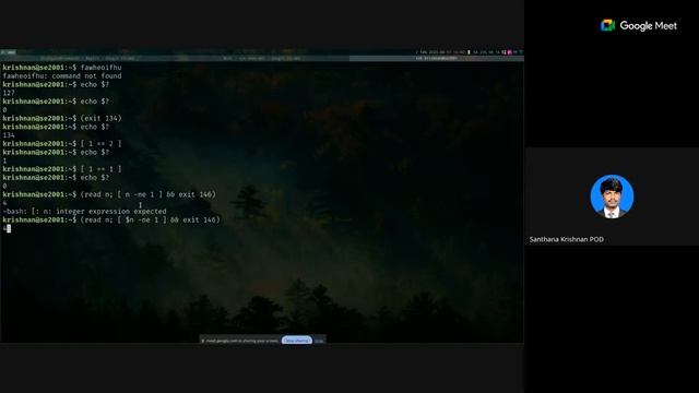 Open/Revision Session - Week 2 смотреть онлайн