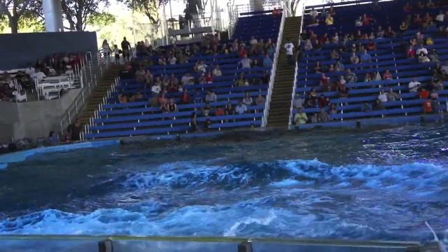 shamu attack, killer whale attacks the audience касатка кит убийца смотреть онлайн
