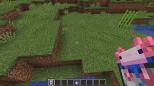 САМЫЕ РЕДКИЕ МОБЫ В МАЙНКРАФТЕ | Секретные мобы Minecraft