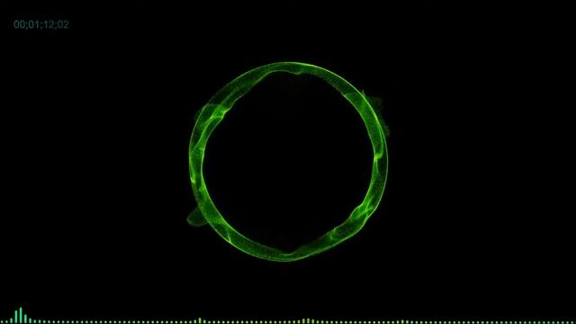 Audio React , Audio Spectrum - After Effect , fast test смотреть онлайн