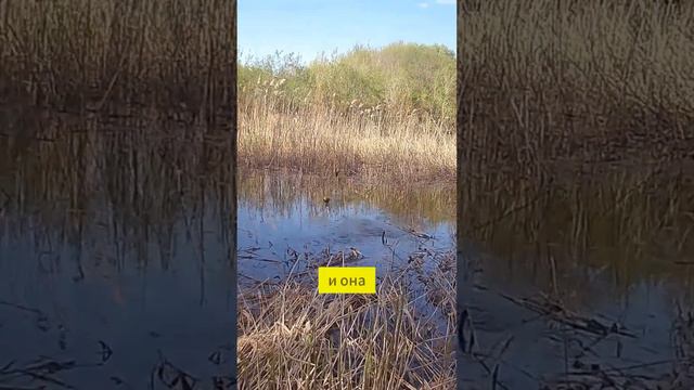 А у вас такое бывало? #рыбалка смотреть онлайн