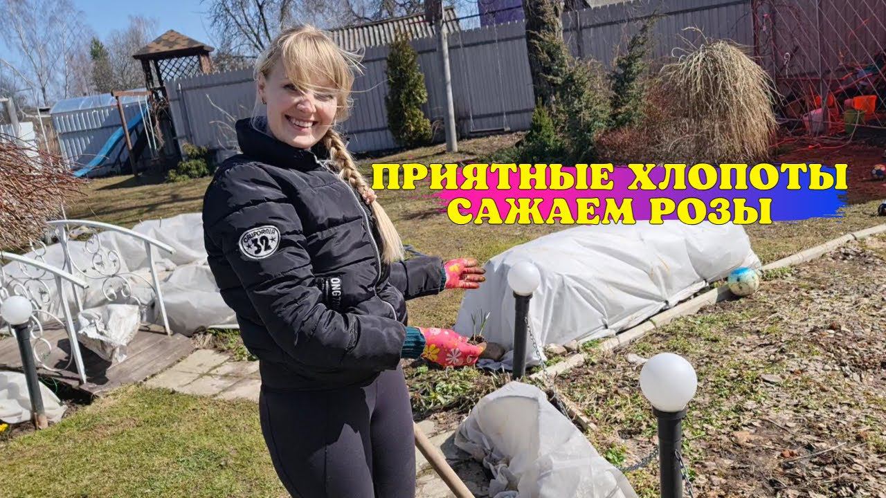 Дела весенние. Сажаем с мужем розы! смотреть онлайн