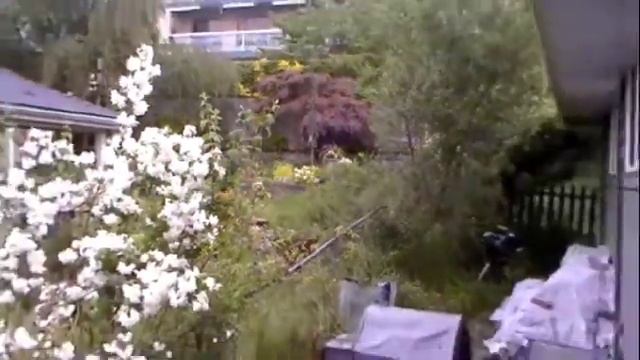 Panasonic SDR S50 Zoom Test смотреть онлайн